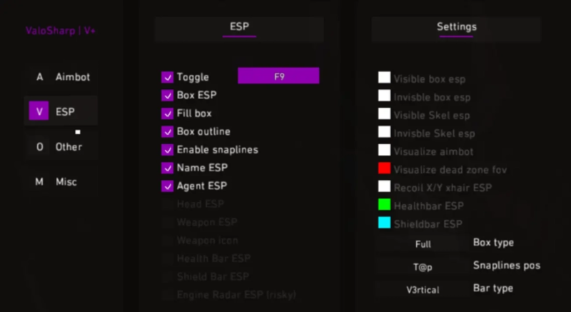 Valorant ESP Cheat – Box, Skeleton, and Agent ESP